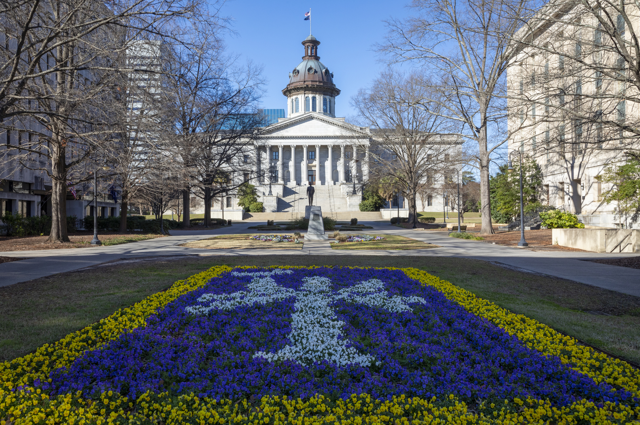 NASW South Carolina strongly opposes legislation to repeal social work licensure